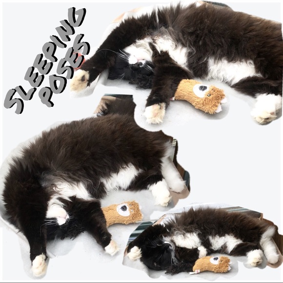 Shoes👉🏽 Sox too! - Picture 14 of 17